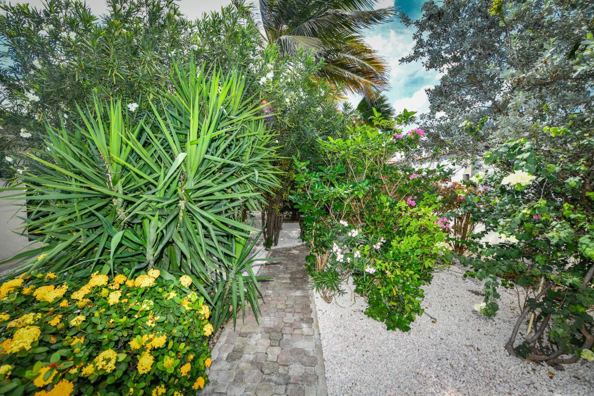 Aloe B&B Oranjestad Exteriér fotografie