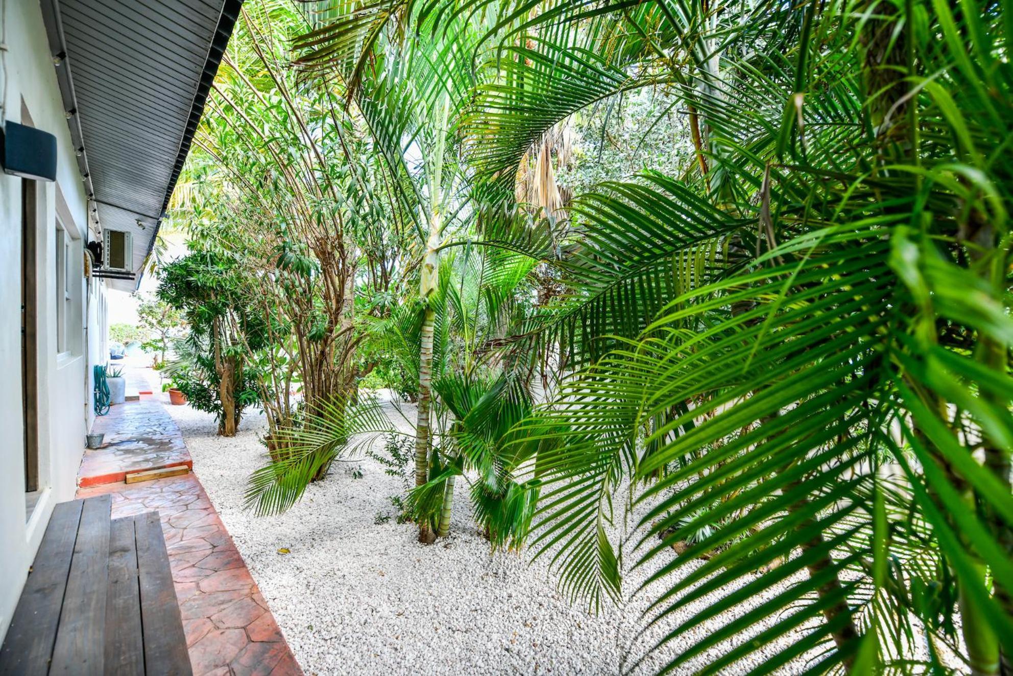 Aloe B&B Oranjestad Exteriér fotografie