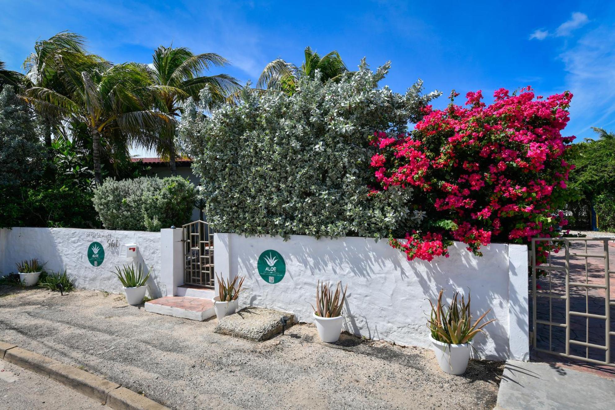 Aloe B&B Oranjestad Exteriér fotografie